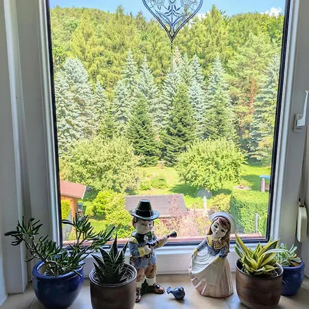 Mansardenwohnung Waldblick *